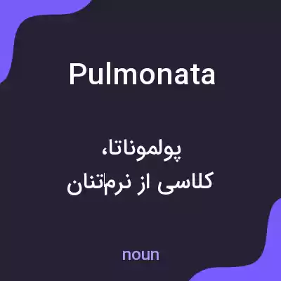 معنی pulmonata به فارسی معنی pulmonata به فارسی