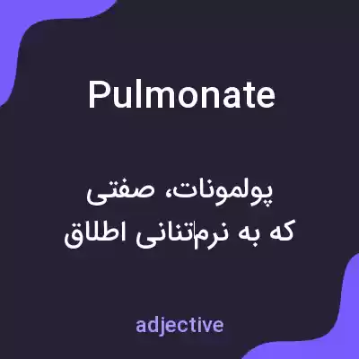 معنی pulmonate به فارسی معنی pulmonate به فارسی