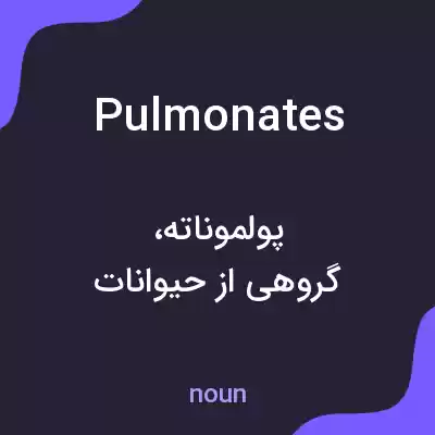معنی pulmonates به فارسی معنی pulmonates به فارسی