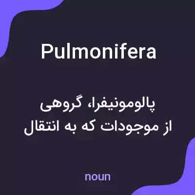 معنی pulmonifera به فارسی معنی pulmonifera به فارسی