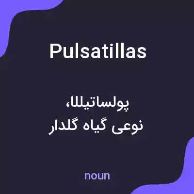 معنی pulsatillas به فارسی معنی pulsatillas به فارسی