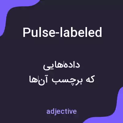 معنی pulse-labeled به فارسی معنی pulse-labeled به فارسی