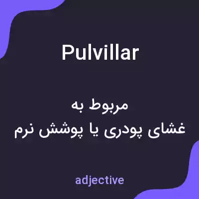 معنی pulvillar به فارسی معنی pulvillar به فارسی