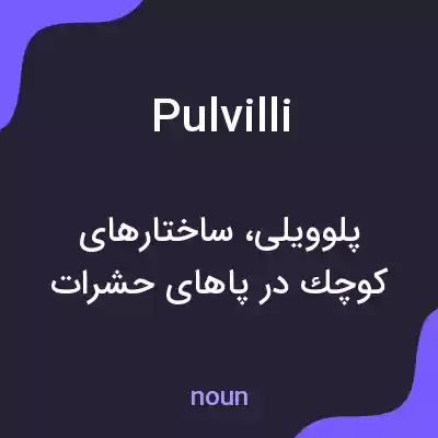 معنی pulvilli به فارسی معنی pulvilli به فارسی