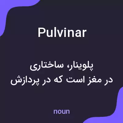 معنی pulvinar به فارسی معنی pulvinar به فارسی