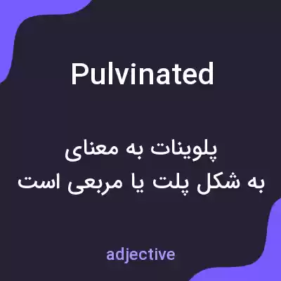 معنی pulvinated به فارسی معنی pulvinated به فارسی