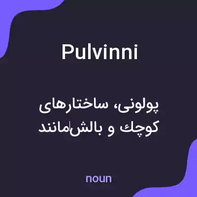 معنی pulvinni به فارسی معنی pulvinni به فارسی