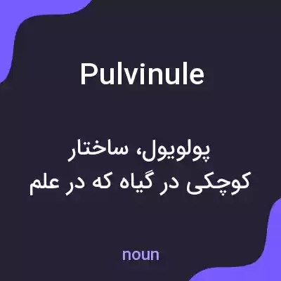 معنی pulvinule به فارسی معنی pulvinule به فارسی