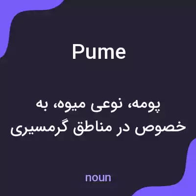 معنی pume به فارسی معنی pume به فارسی