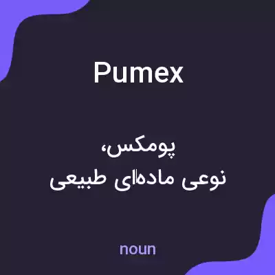 معنی pumex به فارسی معنی pumex به فارسی
