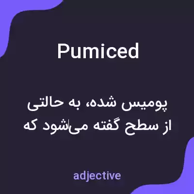 معنی pumiced به فارسی معنی pumiced به فارسی