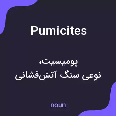 معنی pumicites به فارسی معنی pumicites به فارسی