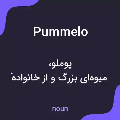 معنی pummelo به فارسی معنی pummelo به فارسی
