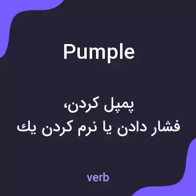 معنی pumple به فارسی معنی pumple به فارسی