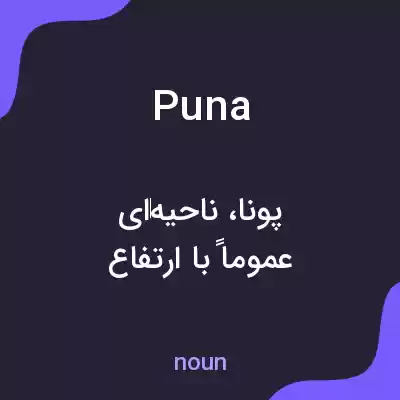معنی puna به فارسی معنی puna به فارسی