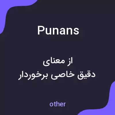 معنی punans به فارسی معنی punans به فارسی