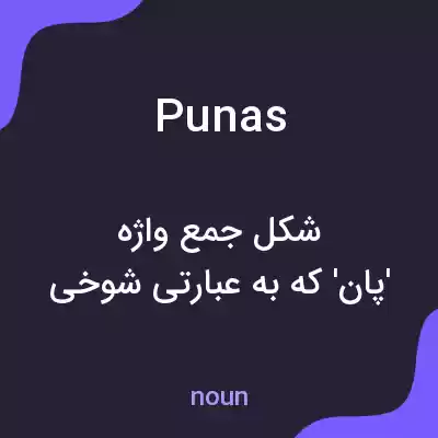 معنی punas به فارسی معنی punas به فارسی