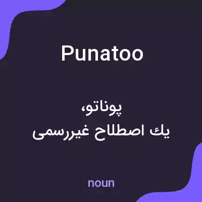معنی punatoo به فارسی معنی punatoo به فارسی