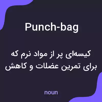 معنی punch-bag به فارسی معنی punch-bag به فارسی