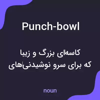 معنی punch-bowl به فارسی معنی punch-bowl به فارسی