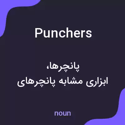 معنی punchers به فارسی معنی punchers به فارسی