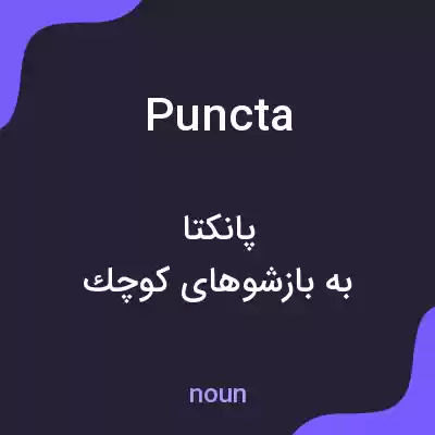 معنی puncta به فارسی معنی puncta به فارسی