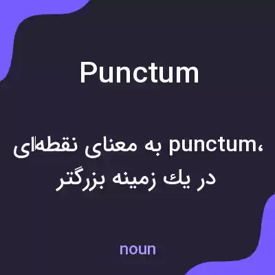 معنی punctum به فارسی معنی punctum به فارسی