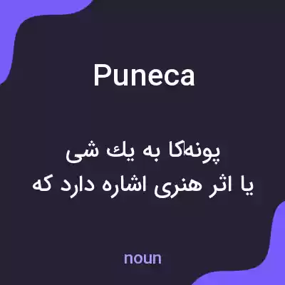 معنی puneca به فارسی معنی puneca به فارسی