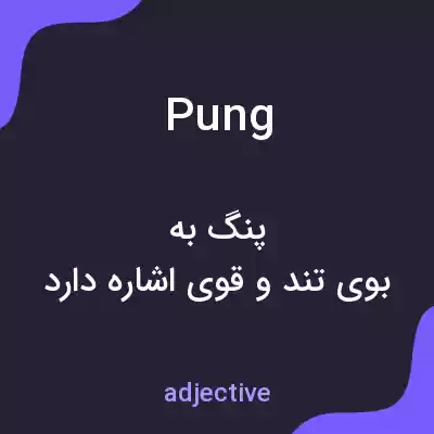 معنی pung به فارسی معنی pung به فارسی