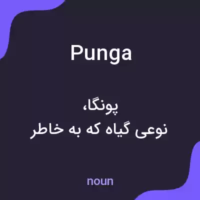 معنی punga به فارسی معنی punga به فارسی