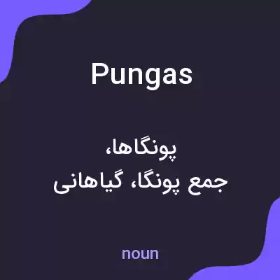 معنی pungas به فارسی