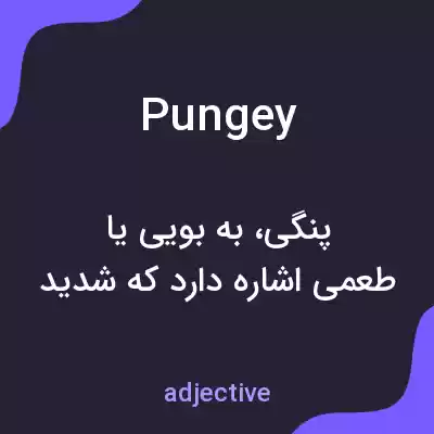 معنی pungey به فارسی معنی pungey به فارسی