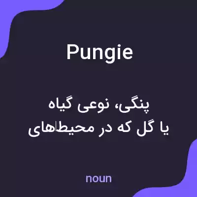معنی pungie به فارسی معنی pungie به فارسی