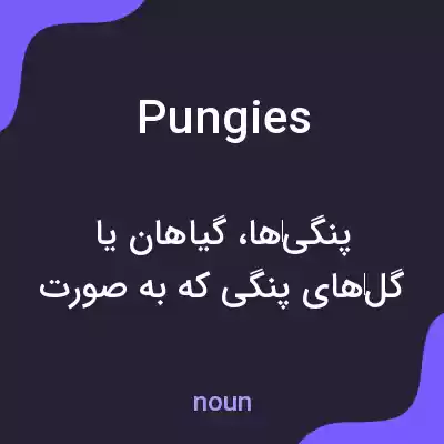 معنی pungies به فارسی