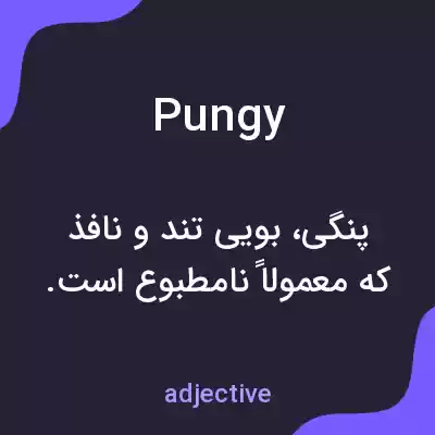 معنی pungy به فارسی معنی pungy به فارسی