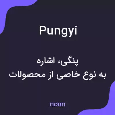 معنی pungyi به فارسی معنی pungyi به فارسی