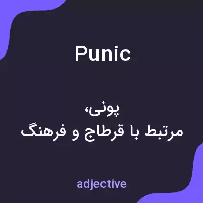 معنی punic به فارسی معنی punic به فارسی