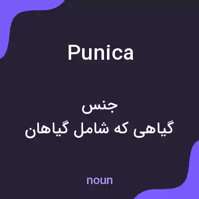 معنی punica به فارسی معنی punica به فارسی