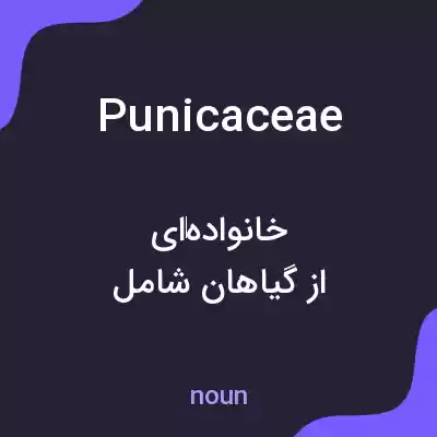معنی punicaceae به فارسی معنی punicaceae به فارسی