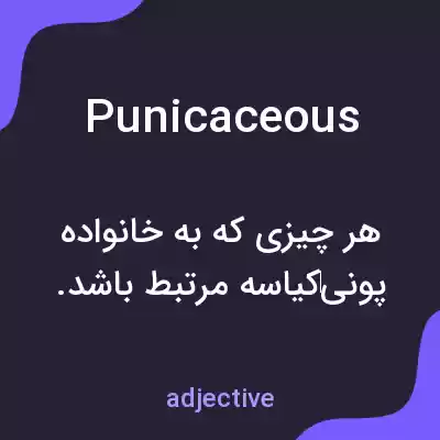 معنی punicaceous به فارسی معنی punicaceous به فارسی