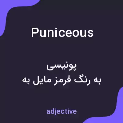 معنی puniceous به فارسی معنی puniceous به فارسی