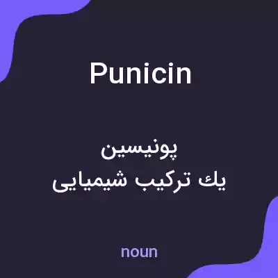 معنی punicin به فارسی معنی punicin به فارسی