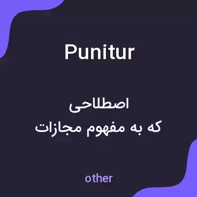 معنی punitur به فارسی معنی punitur به فارسی
