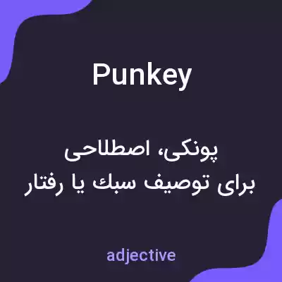 معنی punkey به فارسی معنی punkey به فارسی