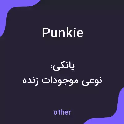 معنی punkie به فارسی معنی punkie به فارسی