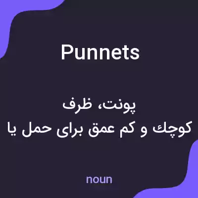 معنی punnets به فارسی معنی punnets به فارسی