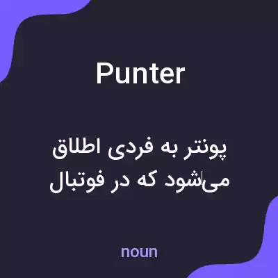 معنی punter به فارسی معنی punter به فارسی
