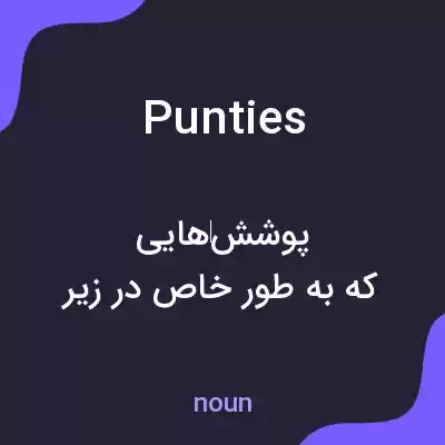 معنی punties به فارسی معنی punties به فارسی