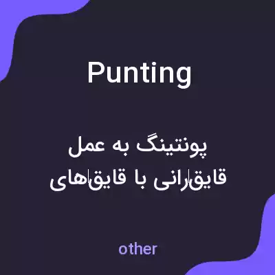 معنی punting به فارسی معنی punting به فارسی