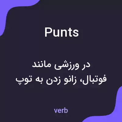 معنی punts به فارسی معنی punts به فارسی